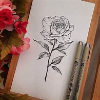 Image result for Drawn Roses Images