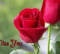 Image result for We Will Miss You Flowers