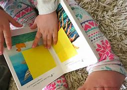 Image result for Peek A Boo Book