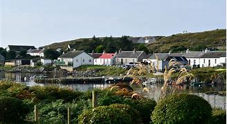 Image result for Isle of Coll Grapevine