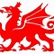 Image result for Welsh Dragon Sticker