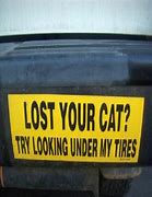 Image result for Funny Cat Bumper Stickers