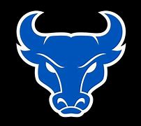 Image result for Bulls Football Logo