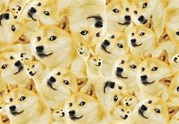 Image result for Funny Doge Meme Wallpaper