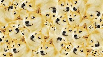 Image result for Doge Meme Wallpaper 1920X1080