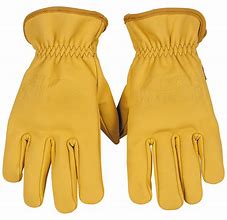 Image result for Queen Leather Gloves