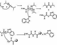 Image result for Acid Amine Coupling