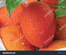 Image result for Fructul Stea