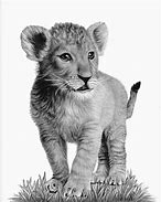 Image result for Simple Lion Drawing Pencil