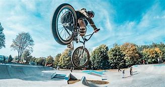 Image result for Top BMX Pegs