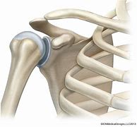 Image result for Shoulder Talons