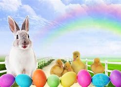 Image result for Pictures of Cute Easter Bunnies