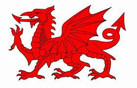 Image result for Welsh Dragon Border