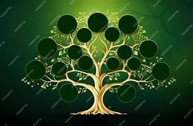 Image result for Empty Family Tree