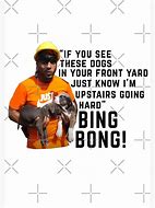 Image result for Bong Dog Meme