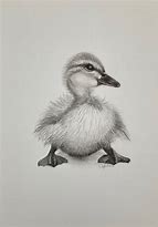 Image result for Fluffy Duck