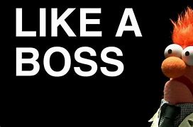 Image result for Like a Boss Meme