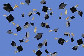 Image result for One Piece Graduation Cap