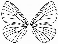 Image result for butterfly wings patterns