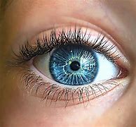 Image result for Macro Eye Photography Blou