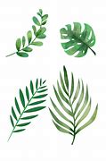 Image result for Free Printable Green Leaves