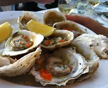 Image result for Bluff Oysters