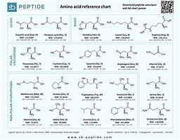 Image result for Amino Acid pKa Table