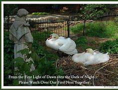 Image result for Swan Nesting Ashtrays