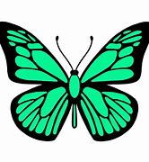 Image result for Pastel Green Butterfly