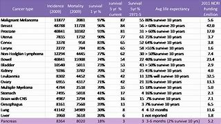 Image result for Pancreatic Cancer Recurrence Life Expectancy