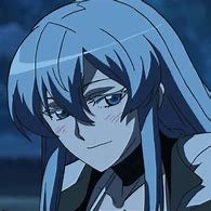 Image result for Esdeath Character Design