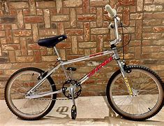 Image result for BMX Bikes for Adults Dyno GT