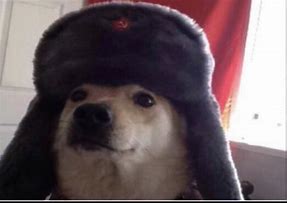 Image result for Soviet Dog PFP