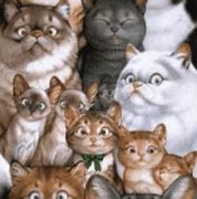 Image result for Funny Cartoon Cat Screensavers