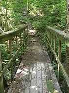 Image result for Rocky Fork State Park TN