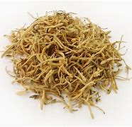 Image result for Jin Yin Hua Tree