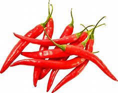 Image result for Chili Pepper Plant PNG