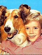 Image result for Lassie Show