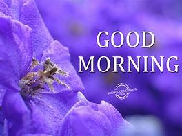 Image result for good morning images