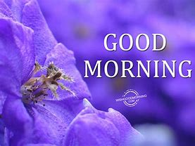 Image result for Good Morning Cheers