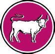 Image result for Taurus The Bull Zodiac Sign