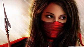 Image result for Pop Art of Ninja Girl