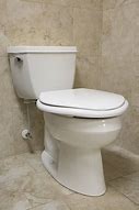 Image result for Toilet Seat Tree