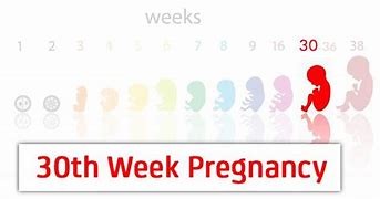 Image result for 31 Week Baby