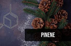 Image result for Pinene Symbol