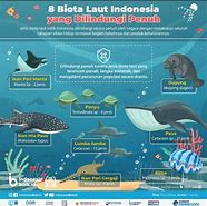 Image result for Biodiversitas Laut HD