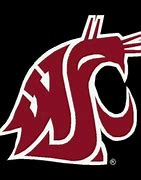 Image result for Wazzu Logo HD