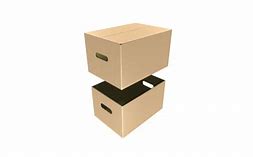 Image result for APL Cartons