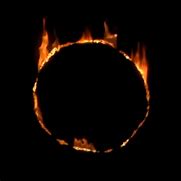 Image result for The Dark Sign Dark Souls