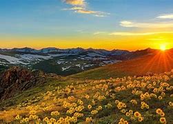 Image result for Tundra Desktop Wallpaper